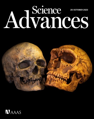 The worldwide expansion of modern humans (Homo sapiens) started before the extinction of Neanderthals (Homo neanderthalensis). Both species coexisted and interbred, leading to slightly higher introgression in East Asians than in Europeans. 