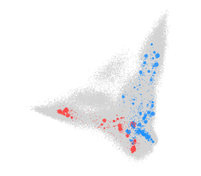 Modelling of HLA-peptide bindings forming the two wings of a bird in flight.